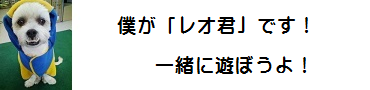 僕が「レオ君」です！一緒に遊ぼうよ！